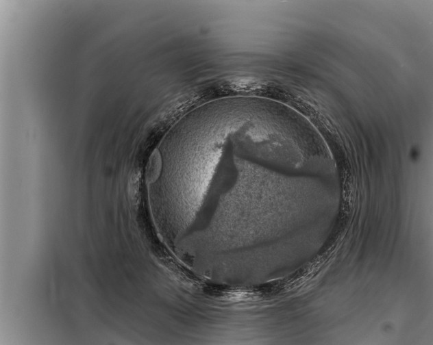 X0000098170319200805011019