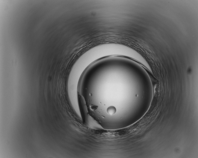 X0000098170320200805011019