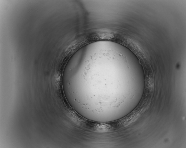 X0000098170321200805011019