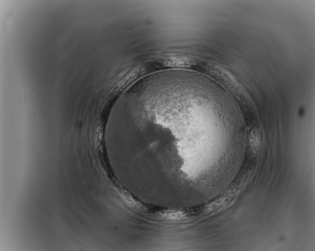 X0000098170322200805011019