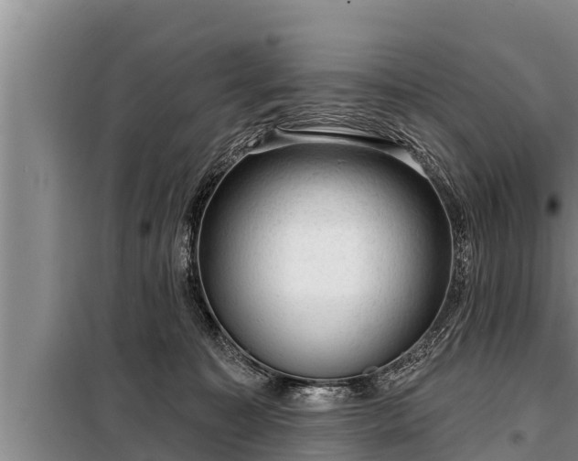 X0000098170323200805011019