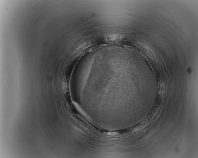 X0000098170324200805011019