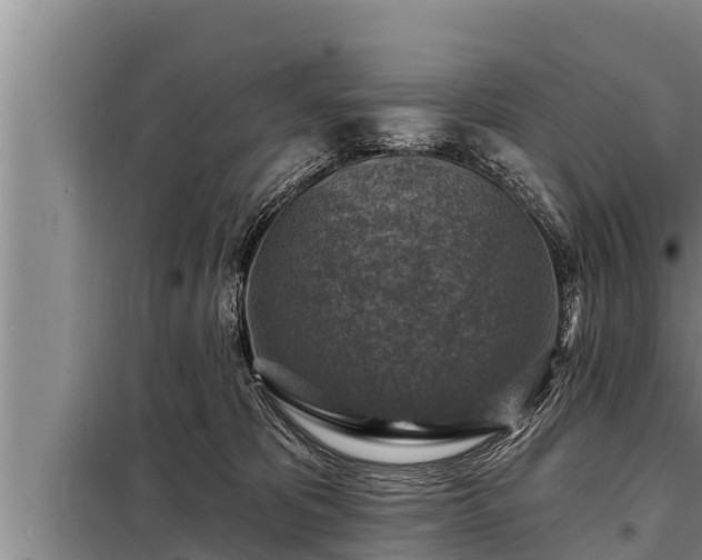 X0000098170325200805011019