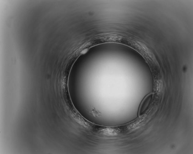 X0000098170326200805011019