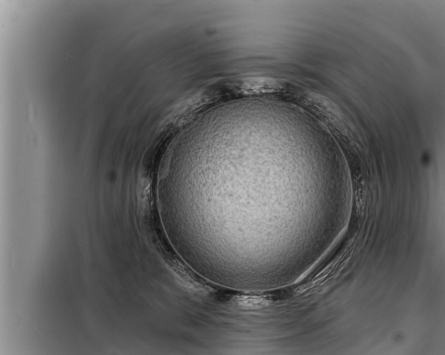 X0000098170327200805011019