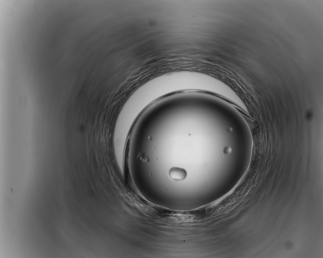 X0000098170328200805011019