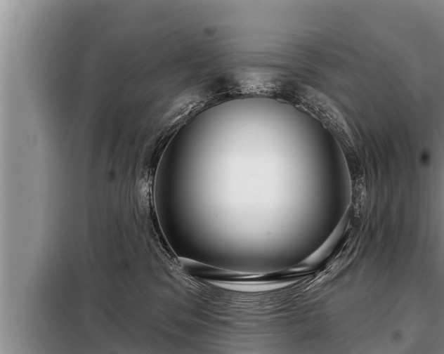 X0000098170329200805011019