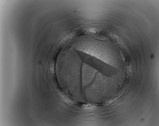 X0000098170331200805011019