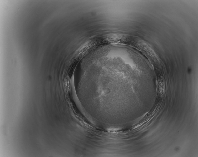 X0000098170332200805011019