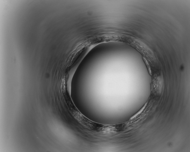 X0000098170333200805011019