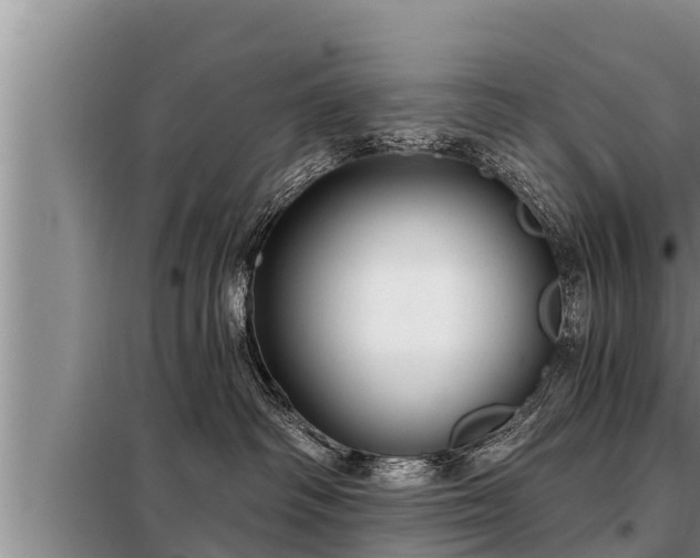 X0000098170334200805011019