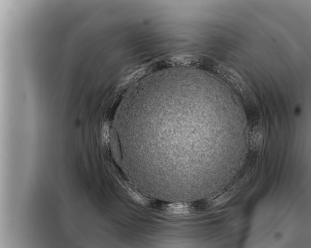 X0000098170335200805011019