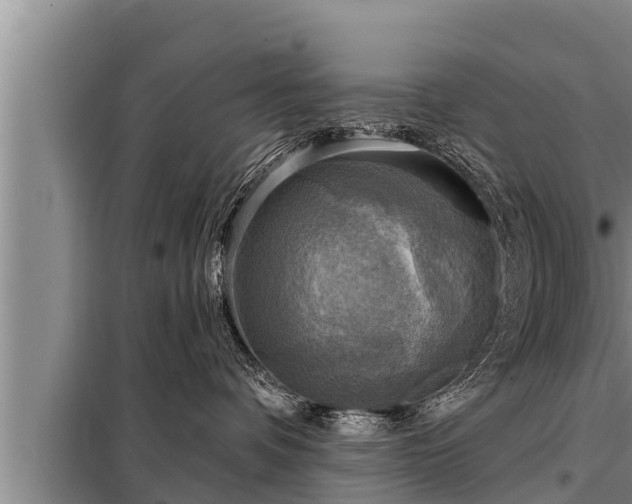 X0000098170336200805011019