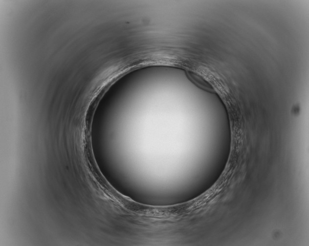 X0000098170338200805011019