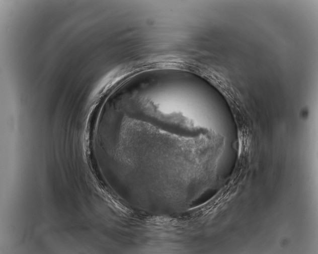 X0000098170339200805011019