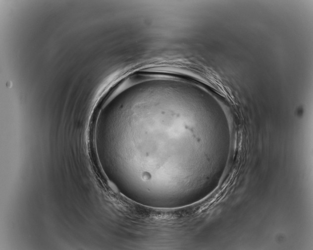 X0000098170340200805011019