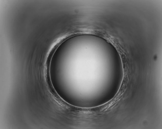 X0000098170342200805011019