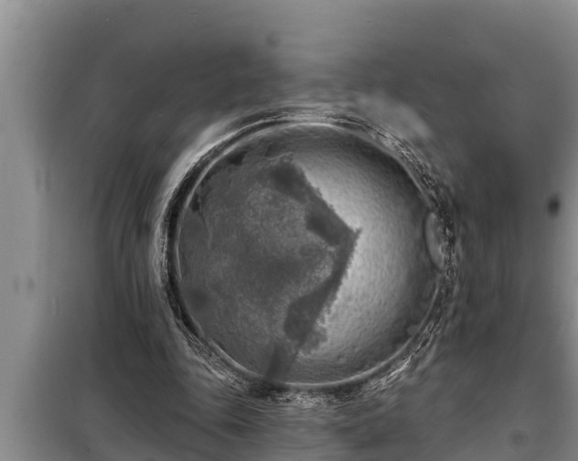 X0000098170343200805011019