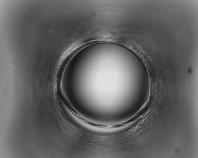 X0000098170344200805011019