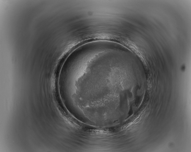 X0000098170347200805011019