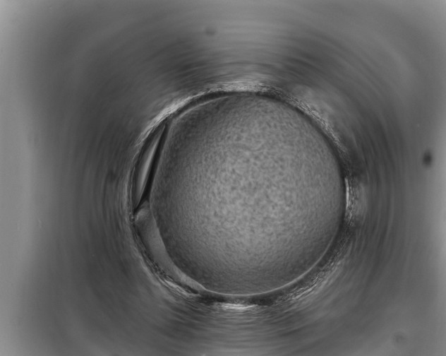 X0000098170348200805011019