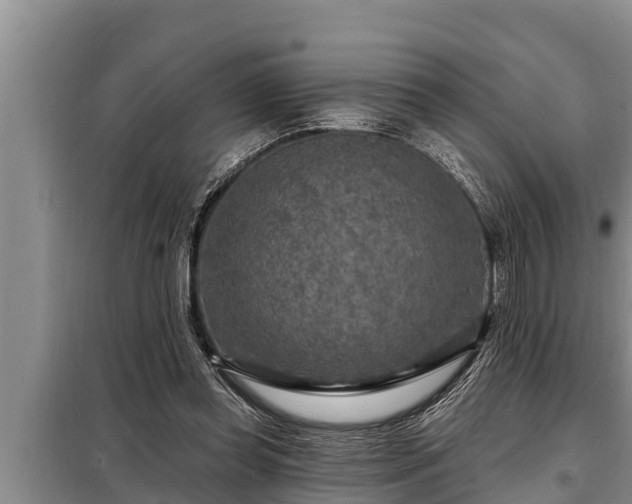 X0000098170349200805011019