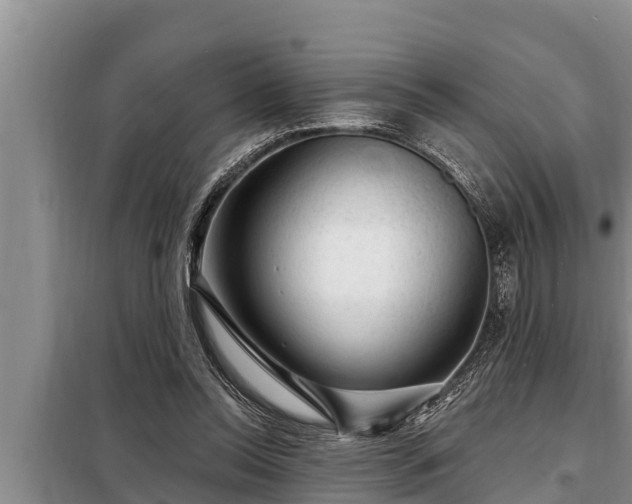 X0000098170350200805011019