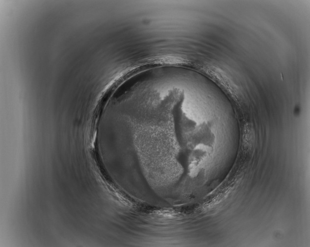 X0000098170351200805011019