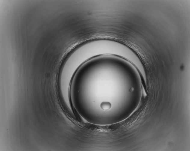 X0000098170352200805011019