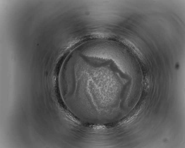 X0000098170355200805011019