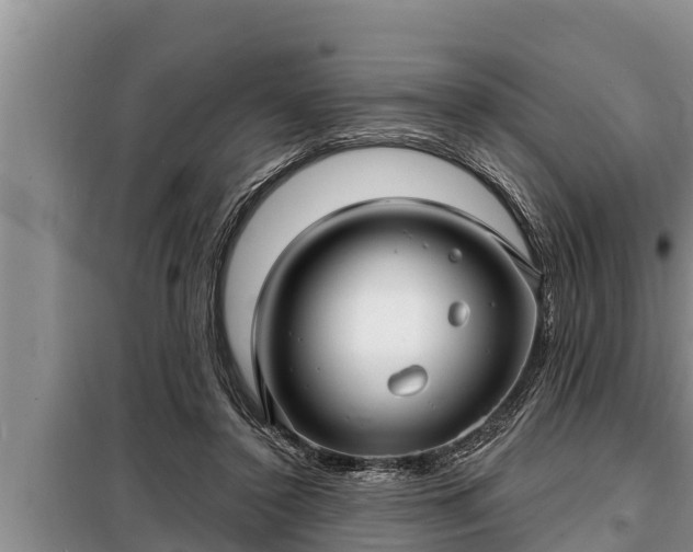 X0000098170356200805011019