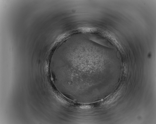 X0000098170357200805011019