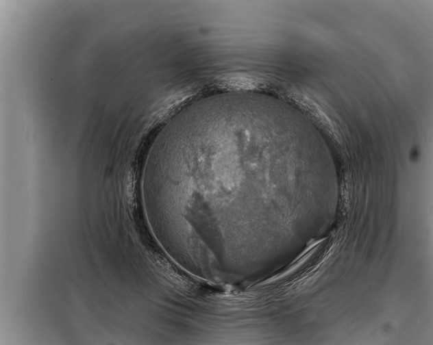 X0000098170359200805011019