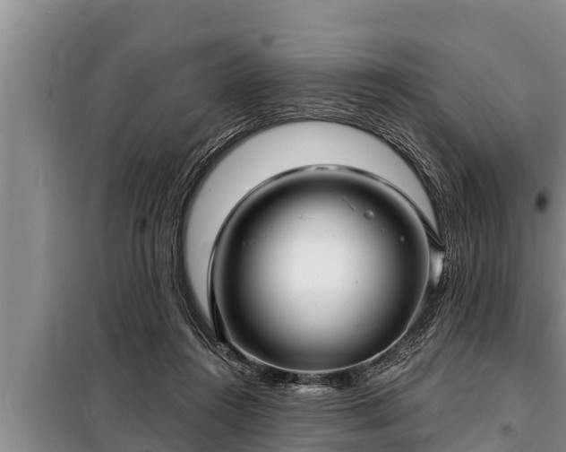 X0000098170360200805011019