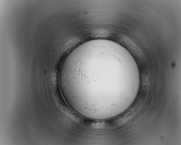 X0000098170362200805011019