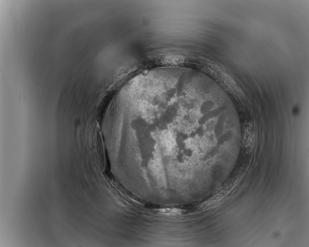 X0000098170363200805011019