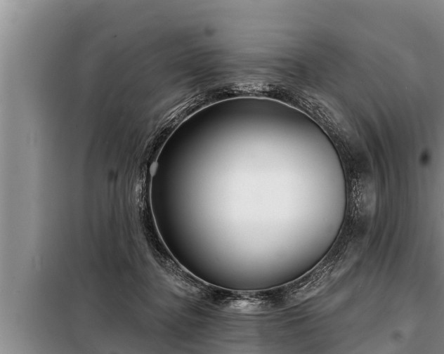 X0000098170364200805011019