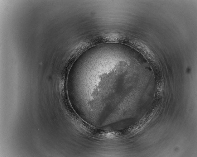 X0000098170365200805011019