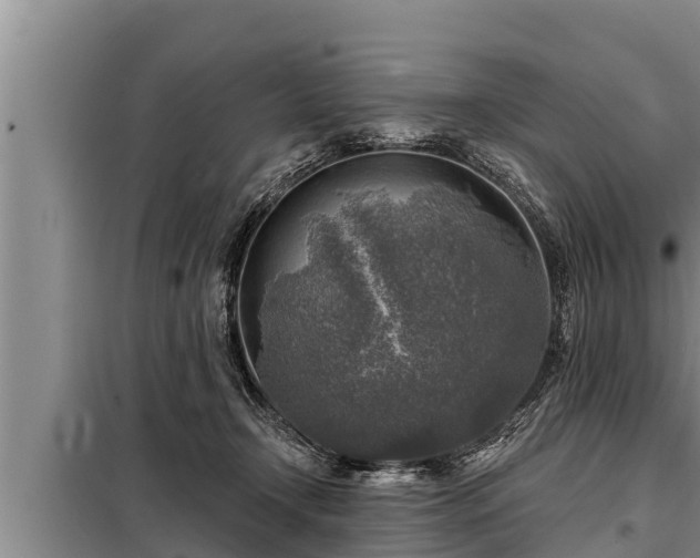 X0000098170366200805011019