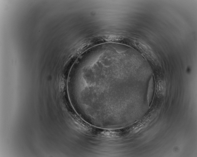 X0000098170367200805011019