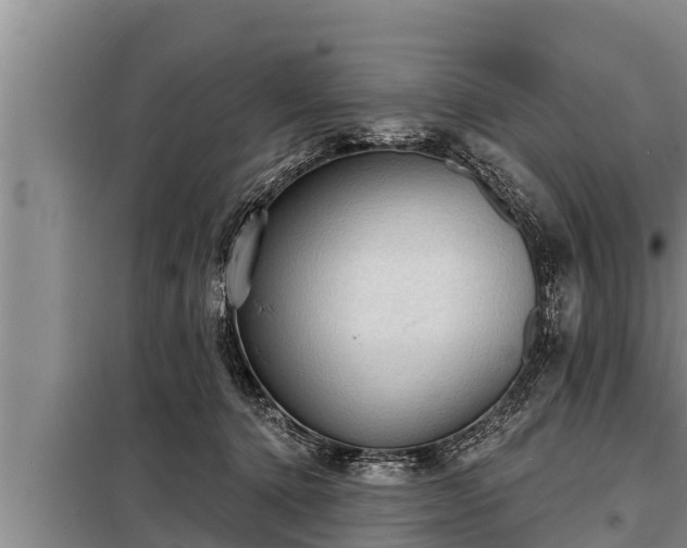 X0000098170368200805011019