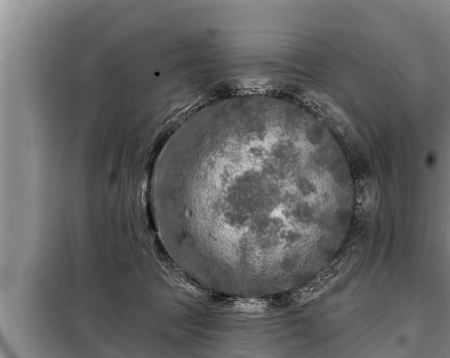 X0000098170369200805011019