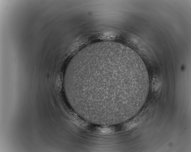 X0000098170370200805011019