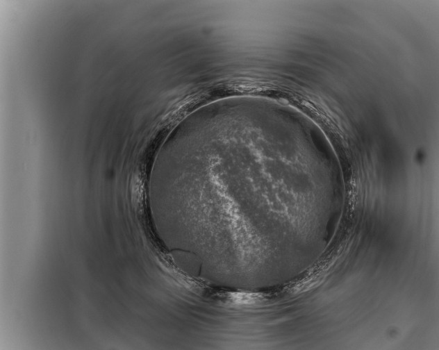 X0000098170371200805011019