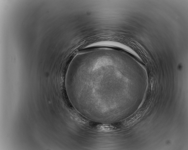 X0000098170372200805011019