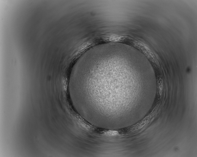 X0000098170374200805011019