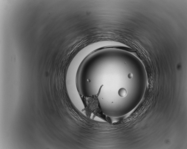 X0000098170376200805011019