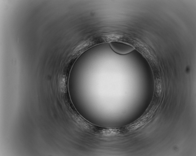 X0000098170378200805011019