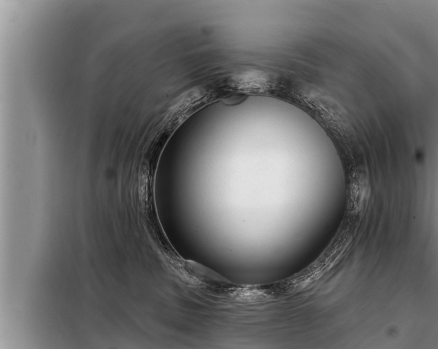 X0000098170379200805011019