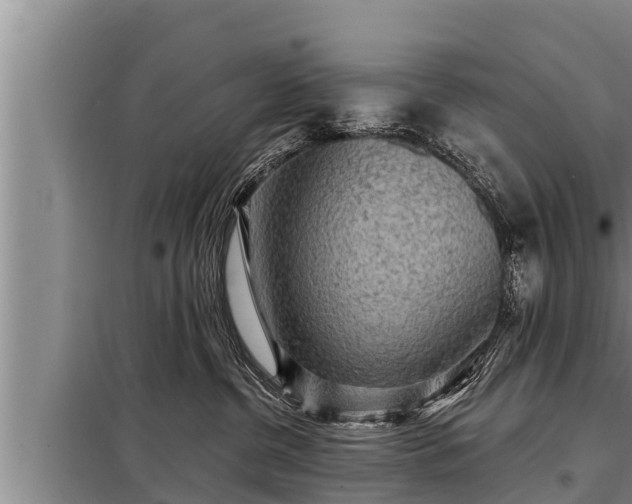 X0000098170380200805011019